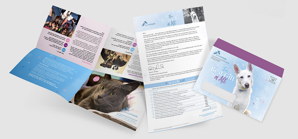 Animal protection fundraiser direct mail campaign