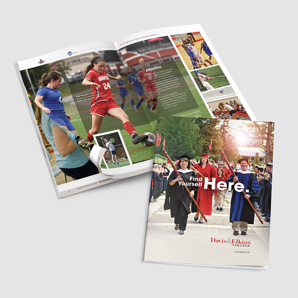 Davis & Elkins College View Book design sample