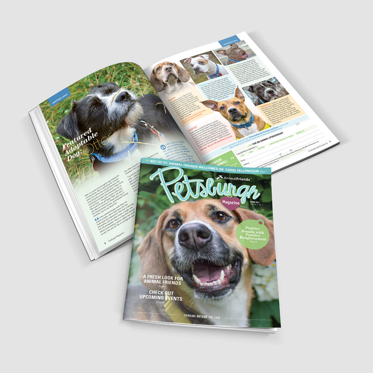 Beautiful newsletter and magazine for animal shelter