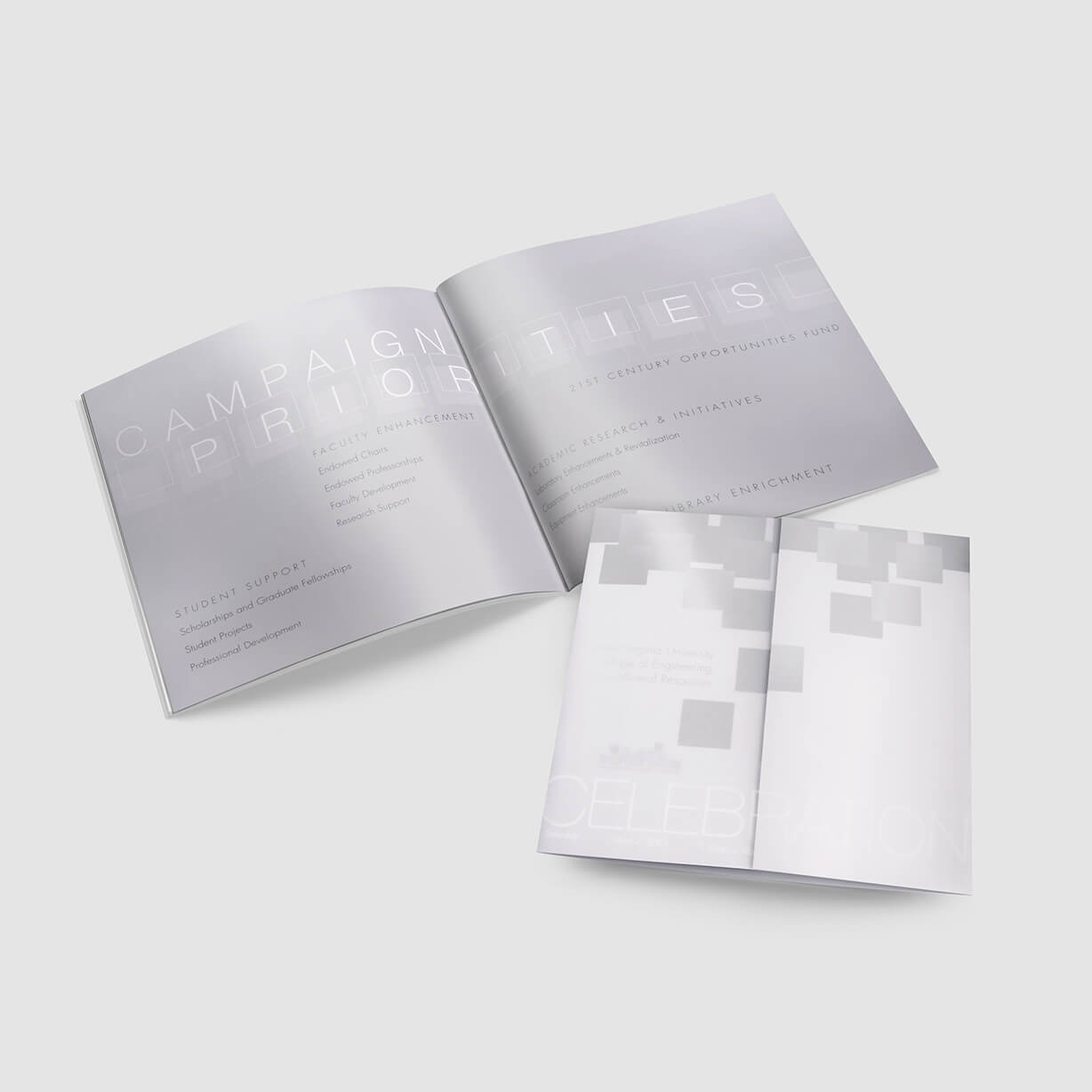 Brochure design for a college capital campaign