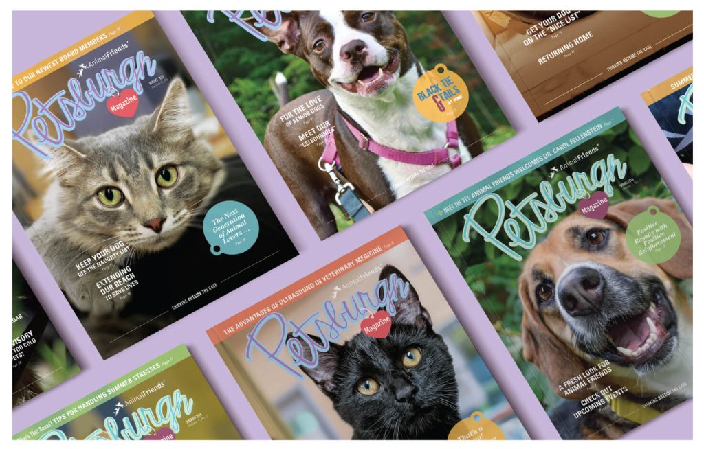 Petsburgh Press Nonprofit Magazine Branding